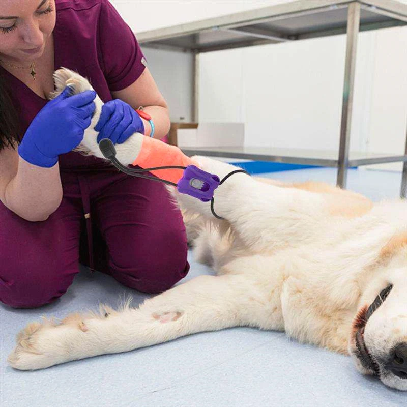 2026 Plastik Evcil Hayvan Turn - Vet Tech Accessories incelemesi ve fiyatı